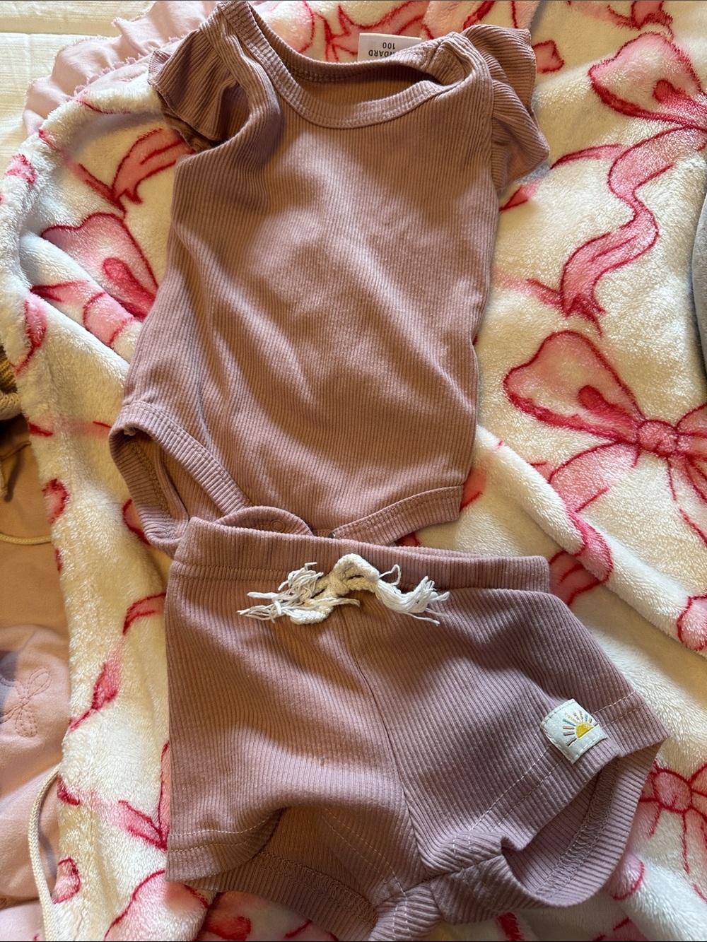 Ribbed Mauve Baby One-Piece & Shorts Set